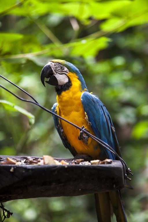 °BIOCENTRO GUEMBE HOTEL Y RESORT SANTA CRUZ DE LA SIERRA (Bolivia ...